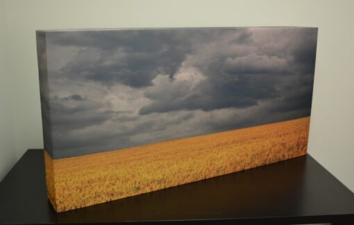 GIK Acoustics ArtPanel
