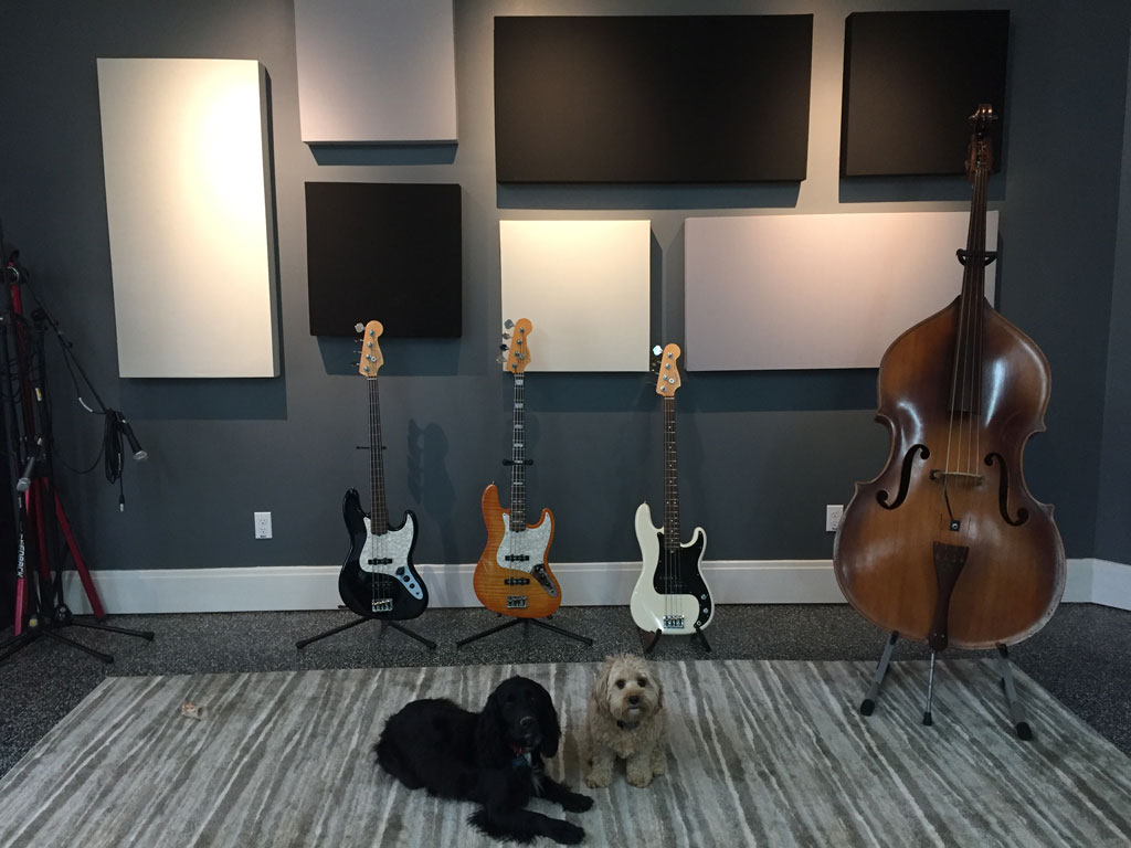 Eric Johnson GIK 242 Acoustic Panels Bass and Dogs